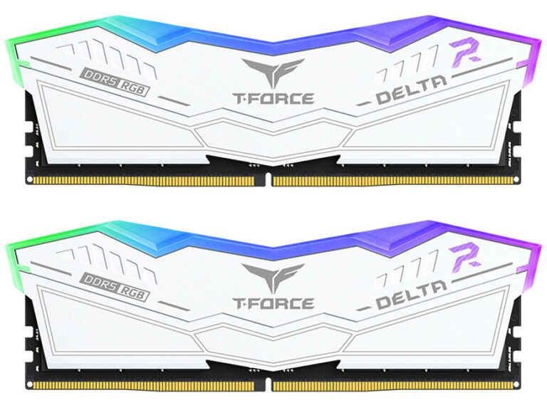 FF4D532G6000HC30DC01 [DDR5 PC5-48000 16GB 2枚組]Team