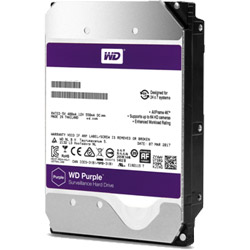 Western Digital WD81PURZ/WD81PURZ/