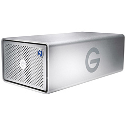 HGST 0G10813-1 外付けHDD Thunderbolt+USB-C接続 G-RAID with Thunderbolt 3(Mac用) [36TB /据え置き型]