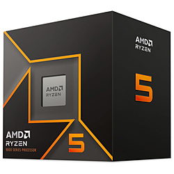 AMD Ryzen 5 9500F