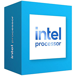 Intel Processor 300