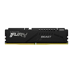 Kingston KF556C40BB-32 [DDR5 PC5-44800 32GB]