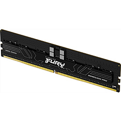 Kingston KF556R28RBE-16 [DDR5 PC5-44800 16GB]