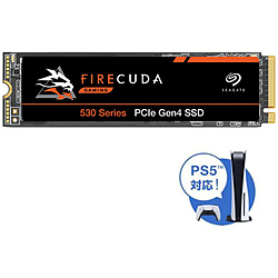 Seagate 内蔵SSD PCI-Express接続 FireCuda 530(PS5対応) ZP4000GM3A013