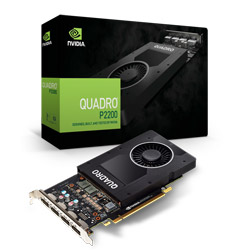 ELSA NVIDIA Quadro P2200 法人むけワークステーションむけビデオカード EQP2200-5GER