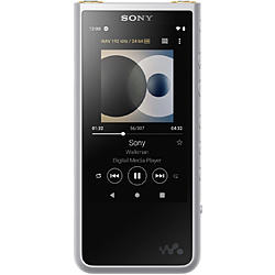 SONY ウォークマンWALKMAN2019年モデル ZXシリーズ シルバー NW-ZX507 [ハイレゾ対応 /64GB]