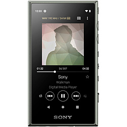 SONY ウォークマンWALKMAN2019年モデル Aシリーズ アッシュグリーン NW-A106 [ハイレゾ対応 /32GB]