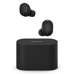 SONY 完全ワイヤレスイヤホン ブラック WF-1000XM6 BZ [ワイヤレス(左右分離) /カナル型 /ノイズキャンセリング対応 /Bluetooth対応]