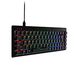 ELECOM USB-Aハブ・RGB LED搭載 V custom VK300C(青軸) ブラック TK-VK300CBK