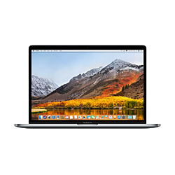 MacBook Pro 15-inch 2018 i7-2.2GHz 16GB 256GB Radeon Pro 555X MR932J/A Pro15.1 SGY