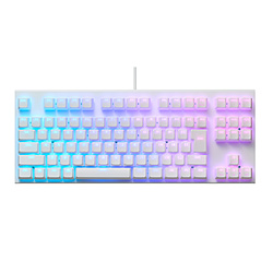 東プレ REALFORCE GX1 30g荷重 スーパーホワイト X1UC23