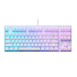 東プレ REALFORCE GX1 30g荷重(英語配列) スーパーホワイト X1UD23