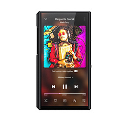 FiiO ハイレゾポータブルプレーヤー M11 Plus LTD Aluminum Alloy FIO-M11PL-AA-LTD-B [ハイレゾ対応]