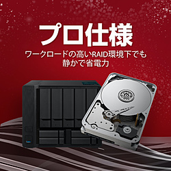 Seagate 内蔵HDD ST4000VN008/BIC