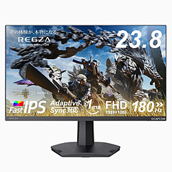 REGZA RM-G245N