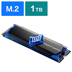 I-O DATA SSD-GC1TM2 内蔵SSD GigaCrysta E.A.G.L PCゲーム向け