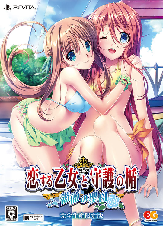 恋する乙女と守護の楯～薔薇の聖母～ 完全生産限定版 (限定版)