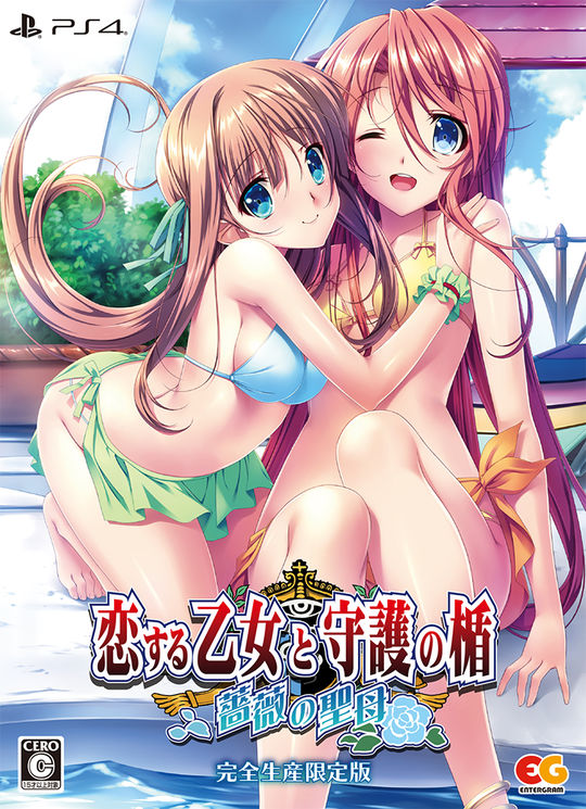 恋する乙女と守護の楯～薔薇の聖母～ 完全生産限定版 (限定版)