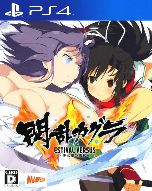 閃乱カグラ ESTIVAL VERSUS -少女達の選択-