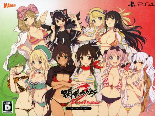 閃乱カグラ Burst Re:Newal にゅうにゅうDXパック (限定版)