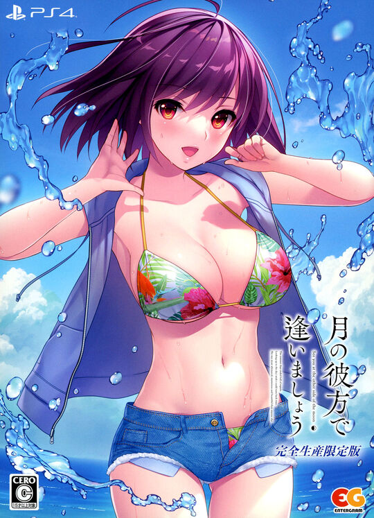 月の彼方で逢いましょう 完全生産限定版 (限定版)