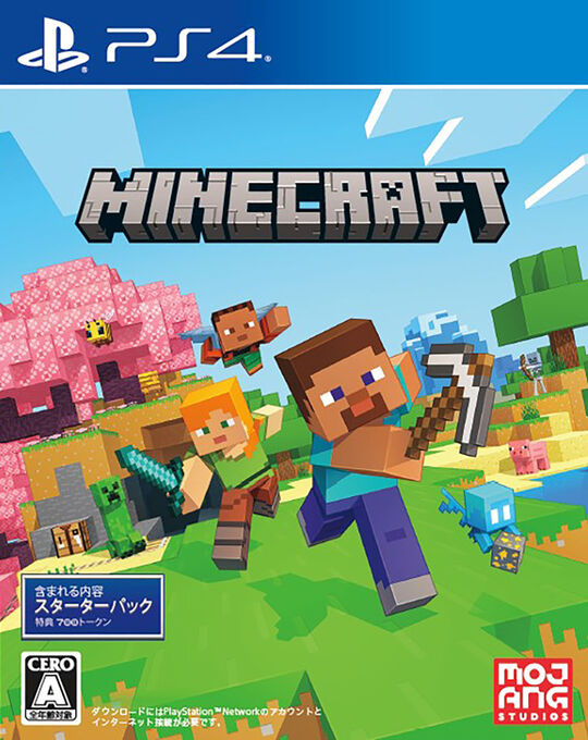 Minecraft Starter Collection