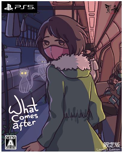 What comes after限定版 (限定版)