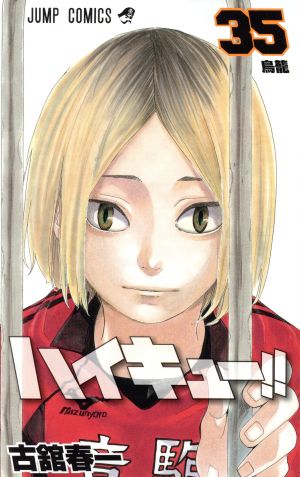 ハイキュー!!(35) ジャンプC