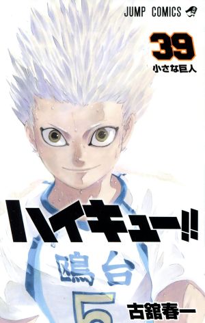 ハイキュー!!(39) ジャンプC
