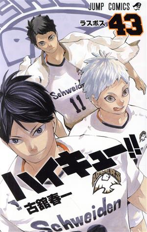 ハイキュー!!(43) ジャンプC