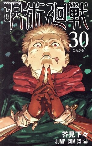 呪術廻戦(30) ジャンプC