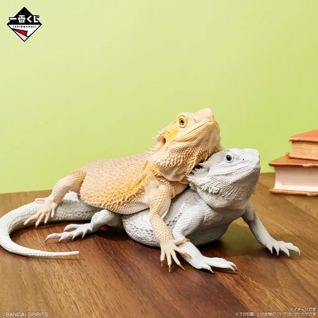 一番くじ「爬虫類＆両生類～Tiny Friends～vol.2」買取価格/値段