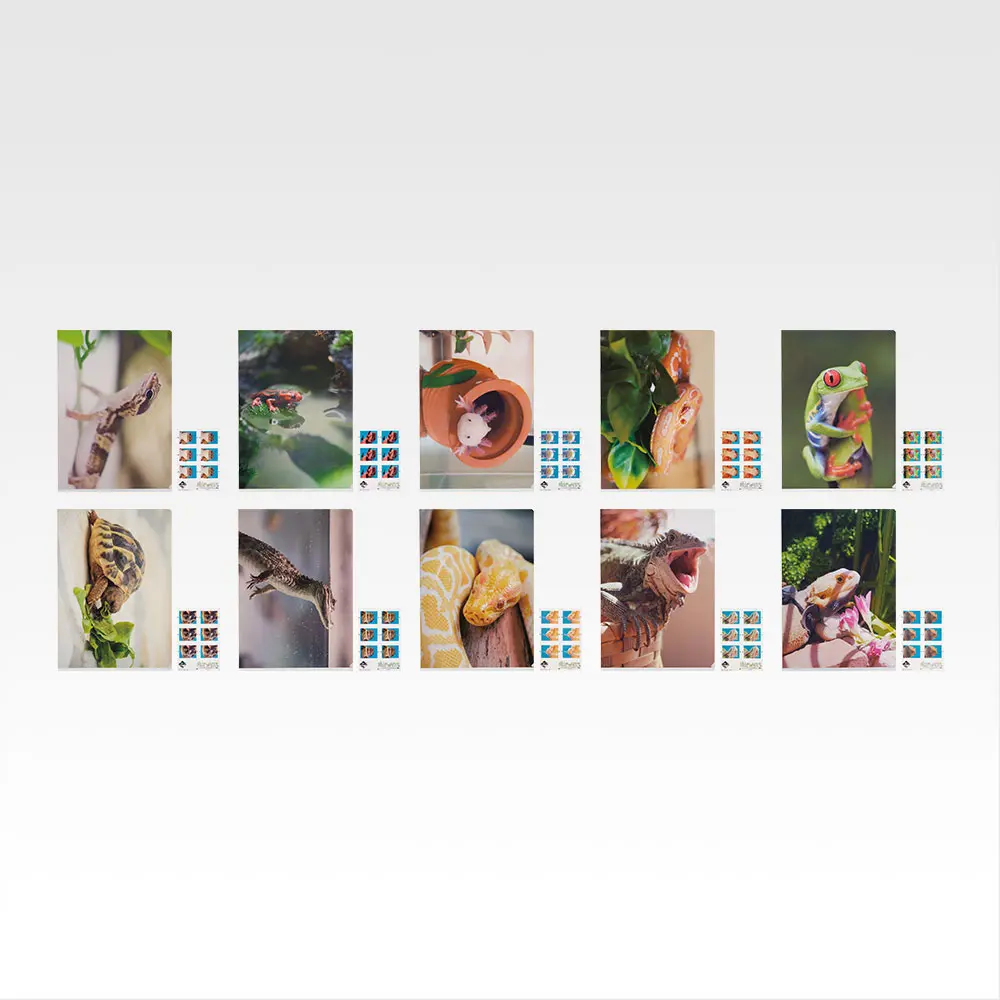 一番くじ「爬虫類＆両生類～Tiny Friends～vol.2」買取価格/値段