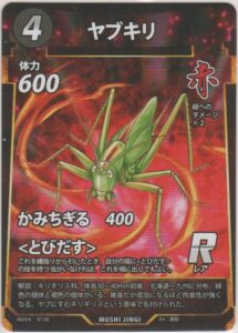 (キラ)ヤブキリ