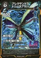アレクサンドラトリバネアゲハ
