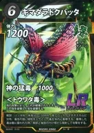 キマダラドクバッタ