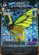 ゴクラクトリバネアゲハ