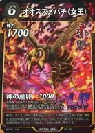 オオスズメバチ(女王)