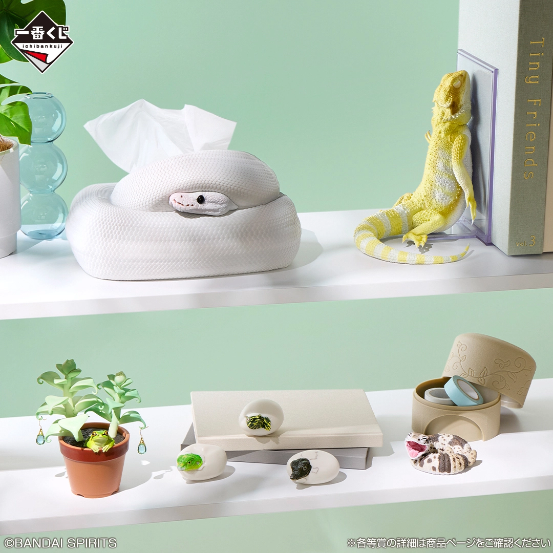 一番くじ 爬虫類&両生類~Tiny Friends~vol.3 補助画像