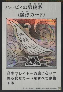 ハーピィの羽根帚(モノクロ)