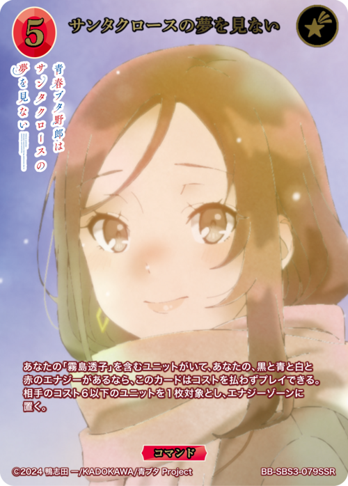 サンタクロースの夢を見ない