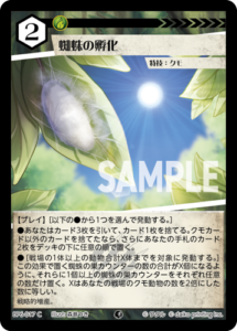 蜘蛛の孵化 BP6-017 C